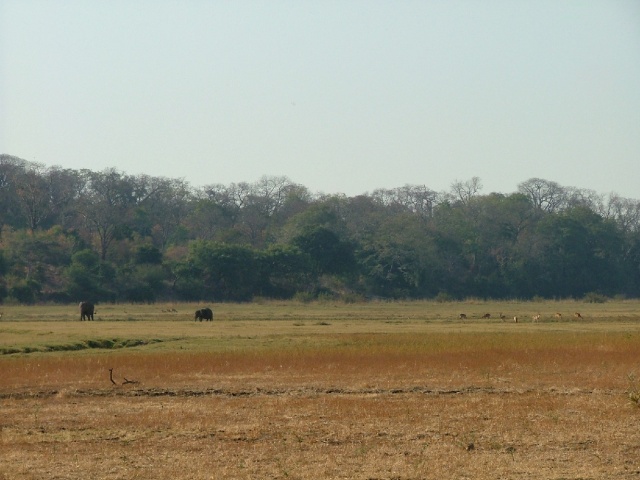 Etendues du South Luangwa NP