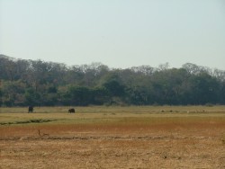 Etendues du South Luangwa NP