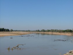 La majestueuse rivière Luangwa et ses innombrables hippos