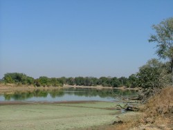 Vue bucolique de la Luangwa