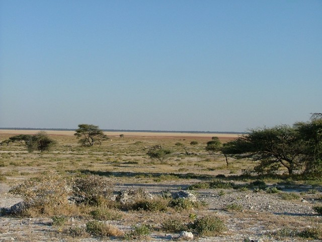 Paysages d'Etoha