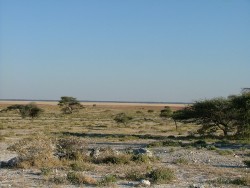 Paysages d'Etoha