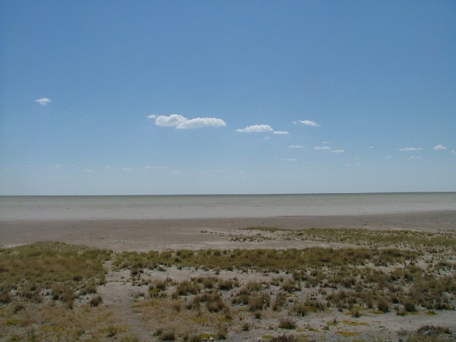 Platitude infinie à Etosha
