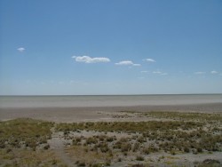 Platitude infinie à Etosha