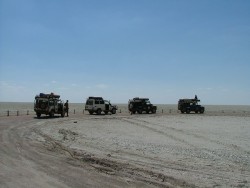 Notre troupe devant le pan d'Etosha