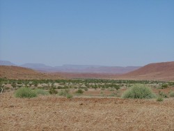 Paysages entre Outjo et Palmwag