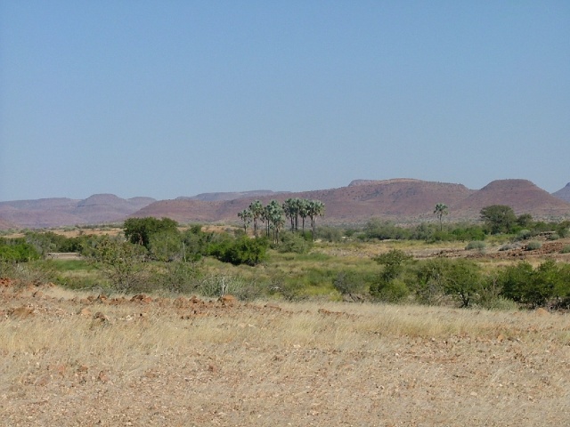 Oasis de Palmwag