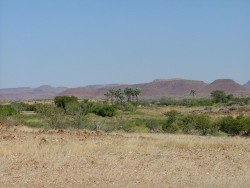 Oasis de Palmwag