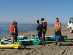 Look très particulier pour expédition en kayak pour approcher dauphins et otaries