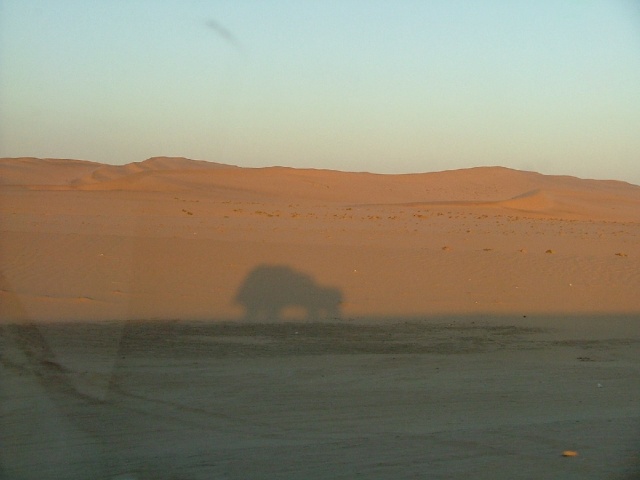 A défaut d'aller dans les dunes