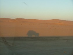 A défaut d'aller dans les dunes