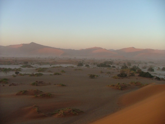 Veld de Sossusvlei