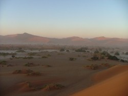 Veld de Sossusvlei