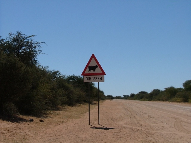 Attention traversée de bétail sur ... 163 km !