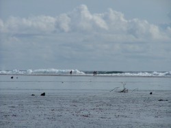 Surfeurs à la conquête de la plus célèbre vague de Tahiti