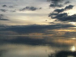 ta_2005_0124(030)