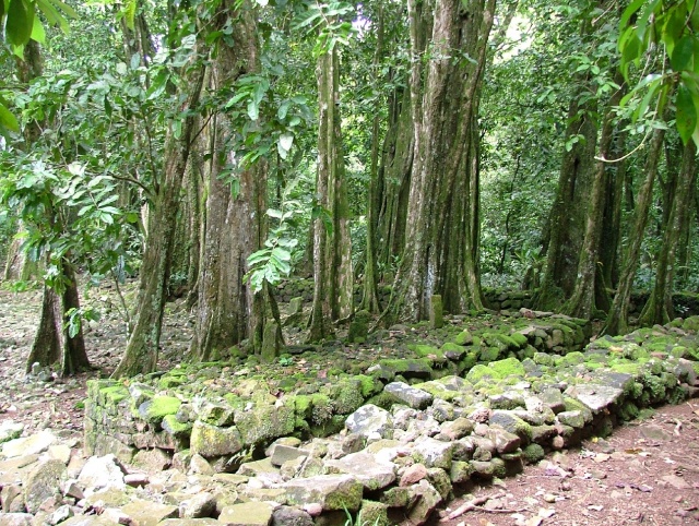 Les marae, lieux sacrés des ancêtres des polynésiens