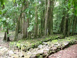 Les marae, lieux sacrés des ancêtres des polynésiens