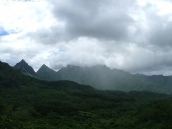 Les nuages s'accrochent souvent aux sommets des montagnes, donnant ainsi une pluie abondante