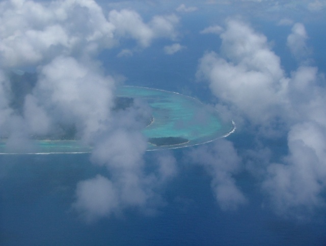 Bout de l'aile de l'île papillon