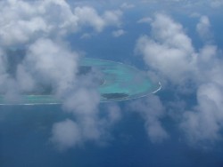 Bout de l'aile de l'île papillon