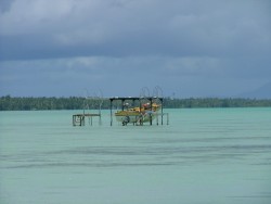 Spectacle typique des embarcations sur pilotis