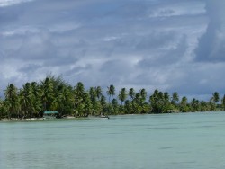 Les motus abritent encore des pêcheurs