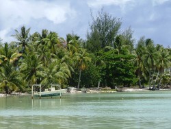 Motu de pêcheur