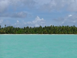 Echantillon de rivages de Bora Bora