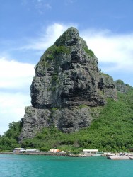 Un piton vraiment imposant