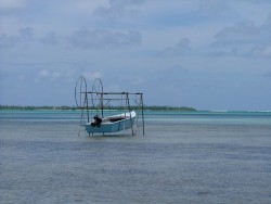 Toujours le lien étroit entre les polynésiens et la mer