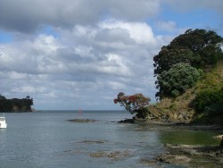 Côte déchiquetée de Leigh