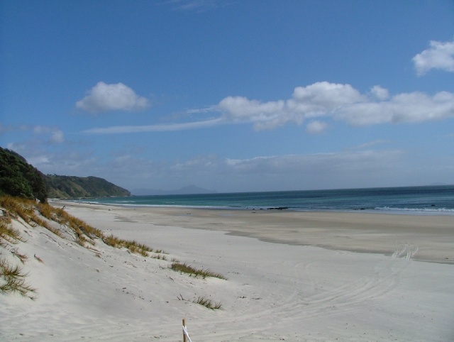 La fabuleuse plage de Mangawhai Heads