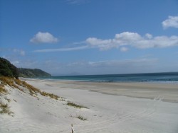 La fabuleuse plage de Mangawhai Heads
