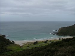 Anse sauvage surveillée par le Cap Reinga