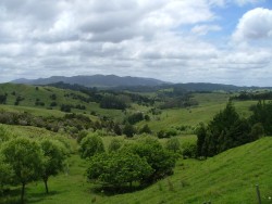 Campagne vallonnée