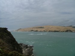 Les dunes blondes de North Head à Hokianga