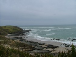 Alors que de ce côté de Hokianga, les falaises sont très découpées   	