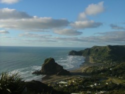La tête de lion de la plage de Piha Beach