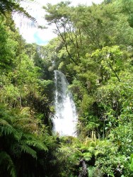 Les jolies chutes de Te Wairoa