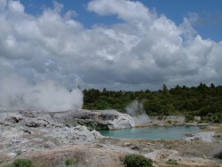 Réserve géothermique de Te Whakarewarewa.