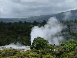 Geyser Pohutu