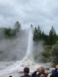 Une manifestation de la nature très attendue par son public