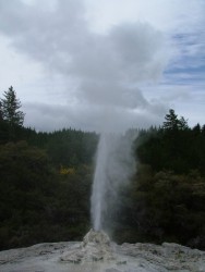 Lady Knox Geyser jaillit tous les jours à 10H15