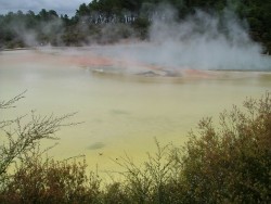 Champagne pool aux couleurs délirantes