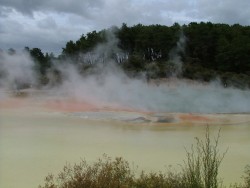 Un mélange de couleurs incroyable