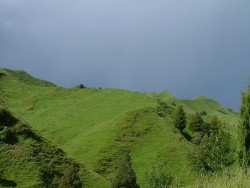 Collines très verdoyantes, on se croirait au pays basque !