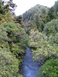 Les réserves naturelles permettent un total épanouissement de la flore