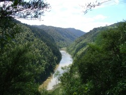 Whanganui River au coeur d'une vallée verdoyante   	