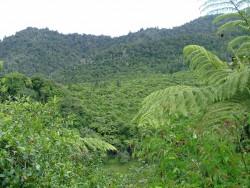 La végétation luxuriante couvre les flancs des montagnes